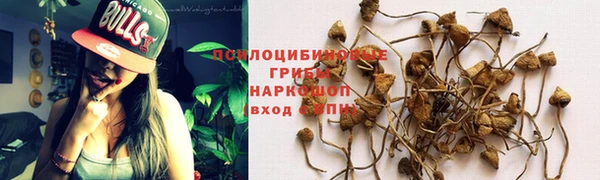 прущая мука Абаза