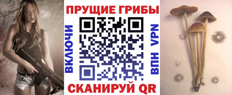 сколько стоит  KRAKEN сайт  Галлюциногенные грибы Psilocybe  Соликамск 